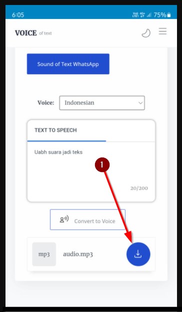 Buat Suara Google Di Voice Of Text