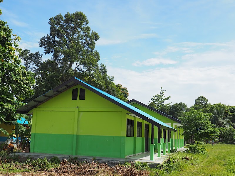 Foto dan Aktivitas Sekolah SD di Teluk Wondama