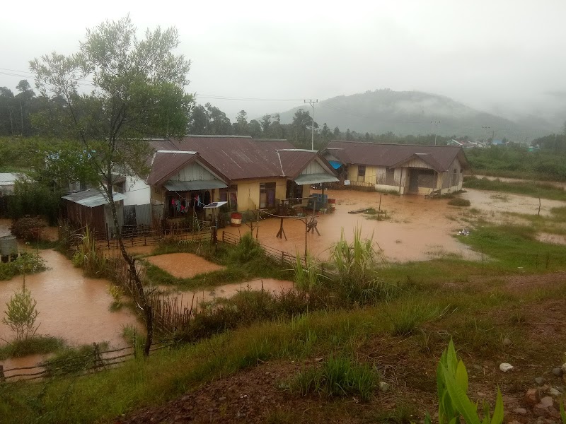 Foto SMA di Kab. Pegunungan Arfak