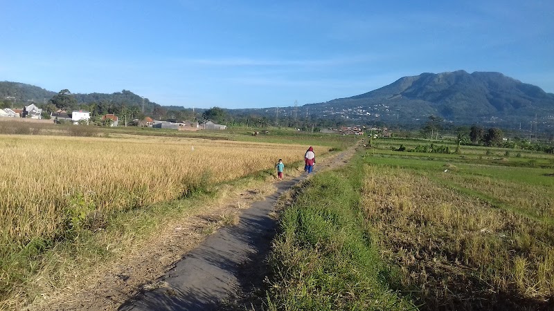 Foto SMA di Kab. Semarang