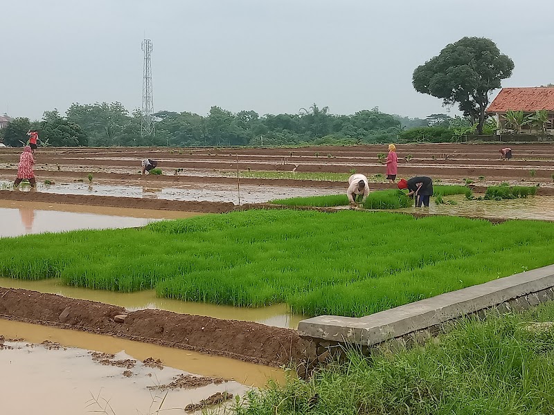 Foto SMP di Kab. Majalengka