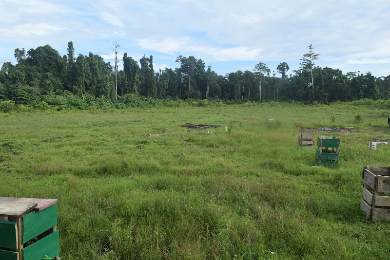 Foto SMP di Kab. Teluk Bintuni