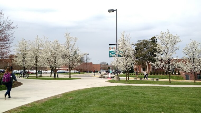 Michigan's Top University