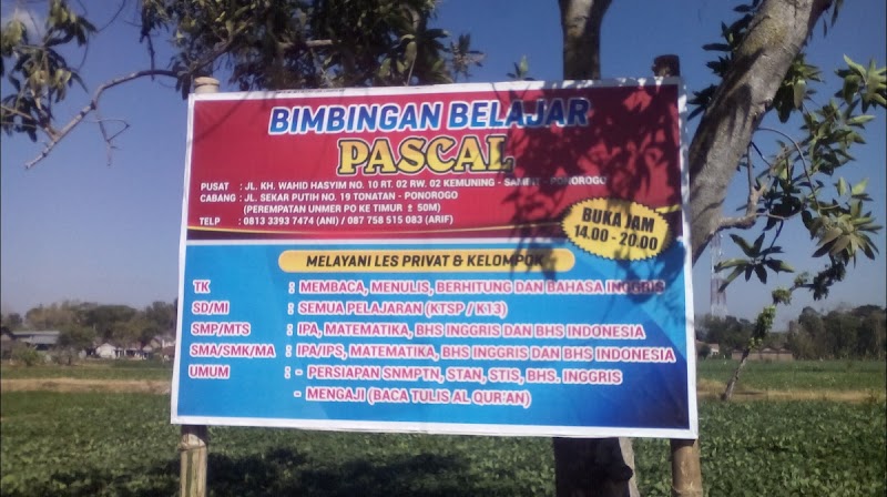 Bimbingan Belajar Pascal Cabang Jabung (Mlarak) (1) in Kab. Ponorogo