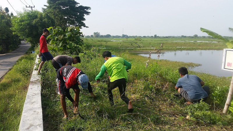 Kolam Renang Aldesha (2) in Kab. Lamongan