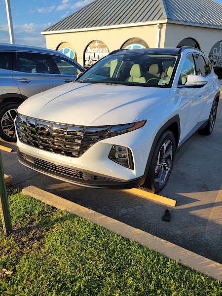 All Star Automotive Group