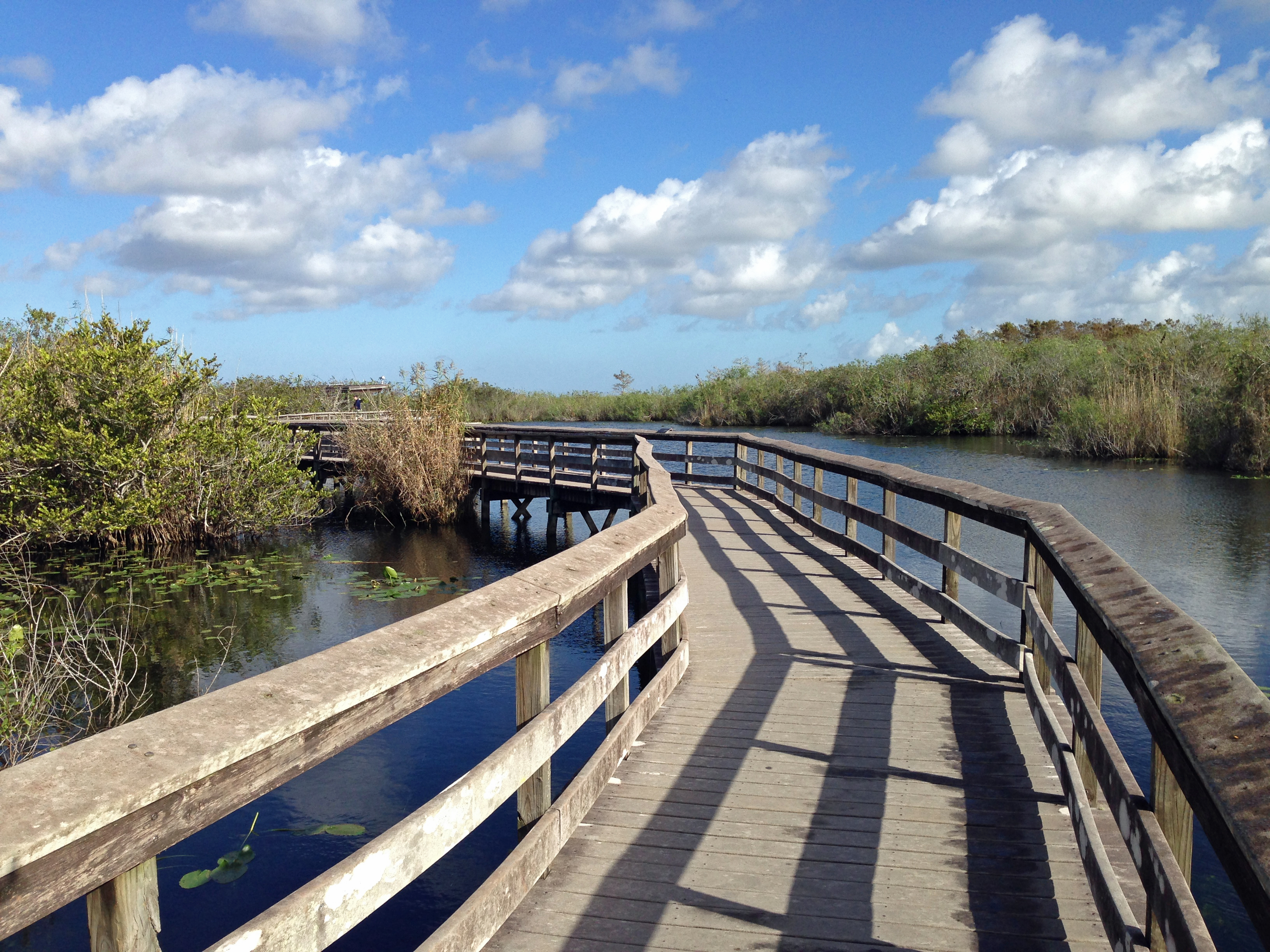 South Florida, sometimes colloquially shortened to SoFlo, is the southernmost region of the U.S. state of Florida. It is one of Florida's three most commonly referred to directional regions; the two others are Central Florida and North Florida. South Florida is the southernmost part of the continental United States and the only region of the continental U.S. that includes some areas with a tropical climate.
South Florida is dominated by the Miami metropolitan area and the Everglades. It also contains the Florida Keys; three U.S. national parks: Biscayne, Dry Tortugas, and Everglades; and multiple cities. While the term most commonly refers to the Miami metro’s tri-county area, interpretations vary on the inclusion of some other parts of Florida within the South Florida region, such as the inclusion of Southwest Florida and the Treasure Coast.