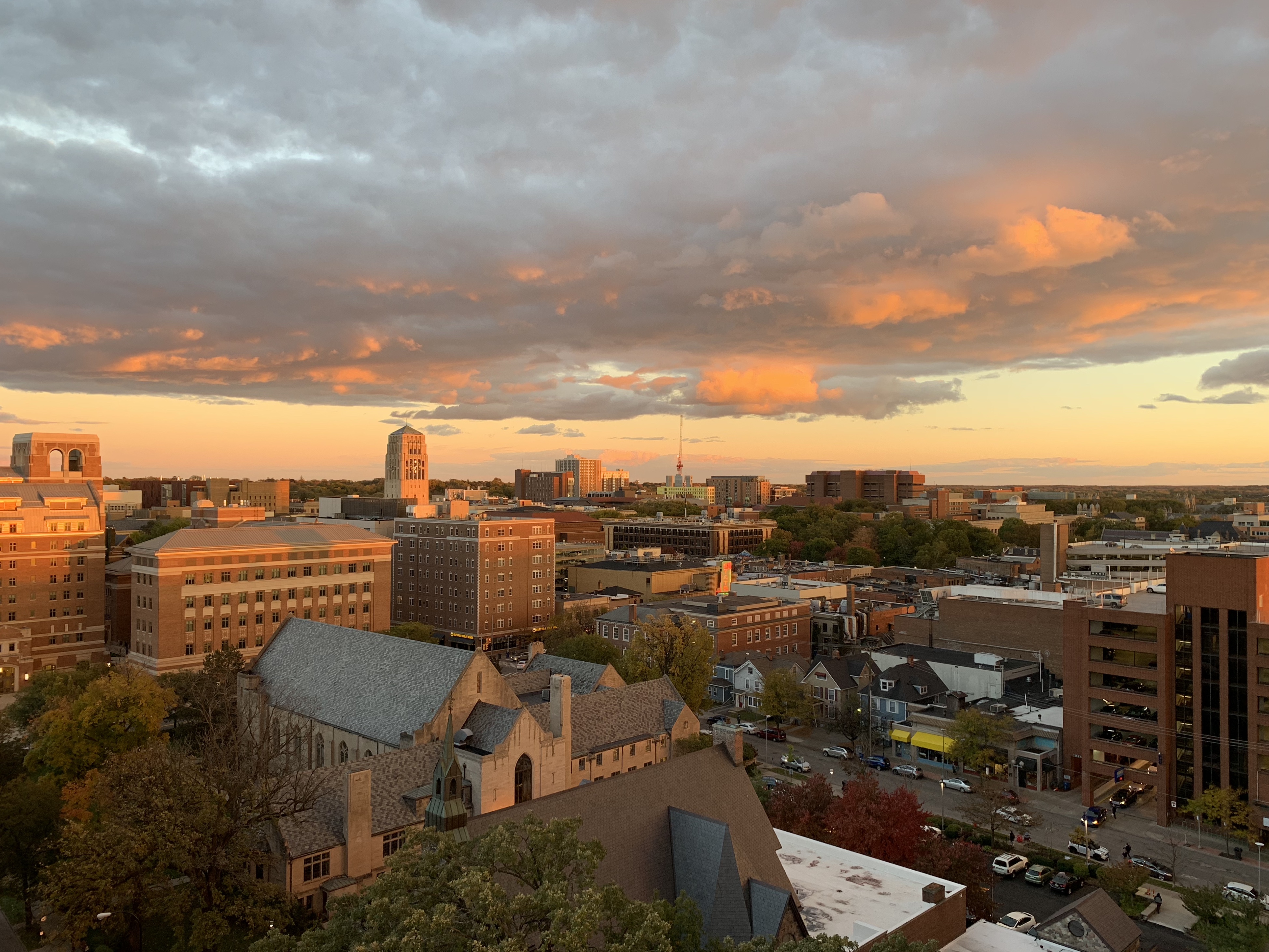Ann Arbor is a city in and the county seat of Washtenaw County, Michigan, United States. The 2020 census recorded its population to be 123,851, making it the fifth-largest city in Michigan. It is the principal city of the Ann Arbor Metropolitan Statistical Area, which encompasses all of Washtenaw County. Ann Arbor is also included in the Greater Detroit Combined Statistical Area and the Great Lakes megalopolis, the most populated and largest megalopolis in North America.
Ann Arbor is home to the University of Michigan. The university significantly shapes Ann Arbor's economy as it employs about 30,000 workers, including about 12,000 in its medical center. The city's economy is also centered on high technology, with several companies drawn to the area by the university's research and development infrastructure.Ann Arbor was founded in 1824 by John Allen and Elisha Rumsey. It was named after the wives of the village's founders, both named Ann, and the stands of bur oak trees they found at the site of the town. The city's population grew at a rapid rate in the early to mid-20th century.
