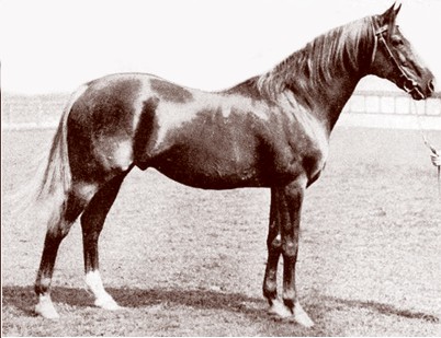Bend Or (1877–1903) was a British Thoroughbred racehorse who won the 1880 Epsom Derby. His regular jockey Fred Archer, winner of thirteen consecutive British jockey titles, said Bend Or was probably the greatest horse he had ever ridden.