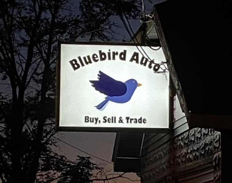 Bluebird Auto