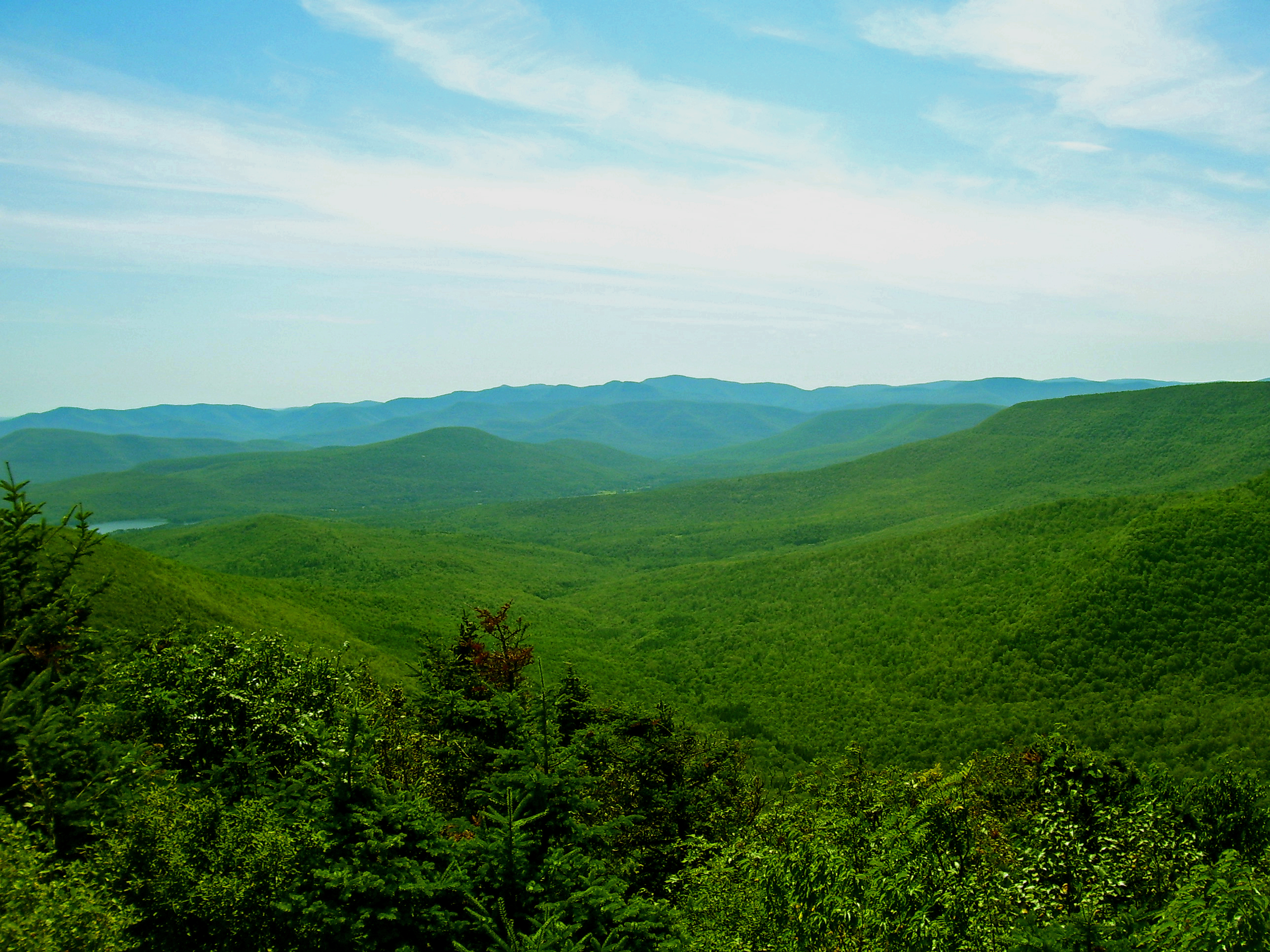 The Catskill Mountains, also known as the Catskills, are a physiographic province and subrange of the larger Appalachian Mountains, located in southeastern New York. As a cultural and geographic region, the Catskills are generally defined as those areas close to or within the borders of the Catskill Park, a 700,000-acre (2,800 km2) forest preserve protected from many forms of development under New York state law.
Geologically, the Catskills are a mature dissected plateau, a flat region subsequently uplifted and eroded into sharp relief by watercourses. The Catskills form the northeastern end of the Allegheny Plateau (also known as the Appalachian Plateau).The Catskills were named by early Dutch settlers. They are well known in American society as the setting for films and works of art, including many 19th-century Hudson River School paintings, as well as for being a favored destination for vacationers from New York City in the mid-20th century. The region's many large resorts gave many young stand-up comedians an opportunity to hone their craft. Since the late 19th century, the Catskills have been a haven for artists, musicians and writers, especially in and around the towns of Woodstock and Phoenicia.