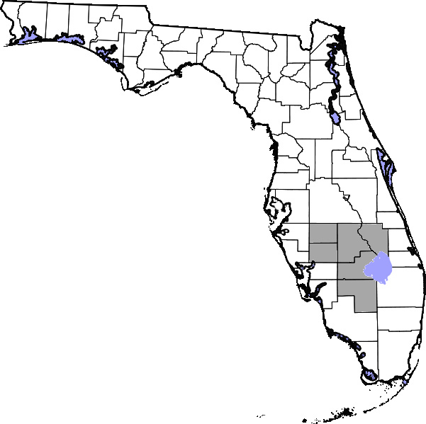 The Florida Heartland (also known as South Central Florida) is a region of Florida located to the north and west of Lake Okeechobee, composed of six inland, non-metropolitan counties—DeSoto, Glades, Hardee, Hendry, Highlands, and Okeechobee. In 2000, The US Census Bureau recorded the population of the region at 229,509. In 2010, The US Census Bureau recorded the population of the region at 253,399, a growth rate of 11.0%. The most populous county in the region is Highlands County, and the region's largest cities are Avon Park and Sebring, both with slightly more than 10,000 people. Unlike the coastal areas to the east and west, the rural nature of the Florida Heartland is culturally closer to the Deep South than the rest of South Florida and has traditionally been inhabited by Americans of predominantly English ancestry.  While located in Palm Beach County, the nearby rural cities of South Bay, Belle Glade and Pahokee as well as the census-designated place of Lake Harbor, located on the southeastern shore of Lake Okeechobee, are more associated with the Florida Heartland than the remainder of South Florida. The same could also apply to the Collier County communities of Immokalee, Ave Maria and Harker as well as to the Martin County community of Port Mayaca. Occasionally included are the southern Polk County communities of Fort Meade, Frostproof and River Ranch as well as Yeehaw Junction in Osceola County.