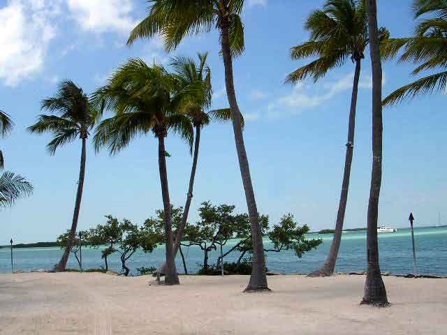 The Florida Keys are a coral cay archipelago off the southern coast of Florida, forming the southernmost part of the continental United States. They begin at the southeastern coast of the Florida peninsula, about 15 miles (24 km) south of Miami and extend in a gentle arc south-southwest and then westward to Key West, the westernmost of the inhabited islands, and on to the uninhabited Dry Tortugas. The islands lie along the Florida Straits, dividing the Atlantic Ocean to the east from the Gulf of Mexico to the northwest, and defining one edge of Florida Bay. At the nearest point, the southern part of Key West is 93 miles (150 km) from Cuba. The Keys are between about 24.3 and 25.5 degrees North latitude.
More than 95% of the land area lies in Monroe County, but a small portion extends northeast into Miami-Dade County, such as Totten Key. The total land area is 137.3 square miles (356 km2). At the 2010 census the population was 73,090, with an average density of 532.34 per square mile (205.54/km2), although much of the population is concentrated in a few areas of much higher density, such as the city of Key West, which has 32% of the Keys' total population. The 2014 Census population estimate was 77,136.
The city of Key West is the county seat of Monroe County. The county consists of a section on the mainland which is almost entirely in Everglades National Park, and the Keys islands from Key Largo to Dry Tortugas National Park.