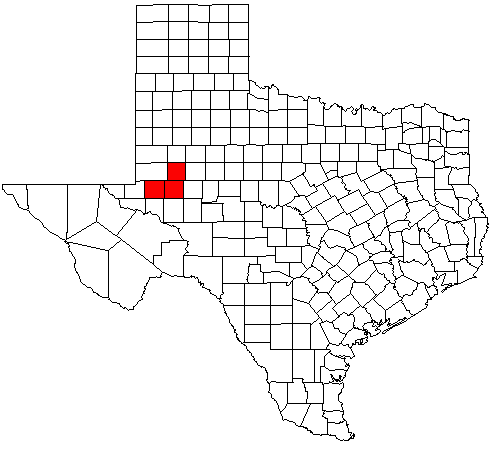 Midland–Odessa is a metropolitan area located in The Texas Plains approximately half-way between El Paso and Fort Worth, Texas. This combined statistical area (CSA) is made up of two metropolitan statistical areas (the Midland MSA and the Odessa MSA), and comprises three counties: Ector, Martin, and Midland counties. The Midland–Odessa CSA is informally known as The Petroplex.
In the past, the cities of Midland and Odessa experienced a civic rivalry of bitter competition and political intrigue. Since the early 1990s, the nature of the rivalry has changed into one of friendly competition and economic cooperation. The Midland–Odessa area today is marketed as "Two Cities, no Limits."