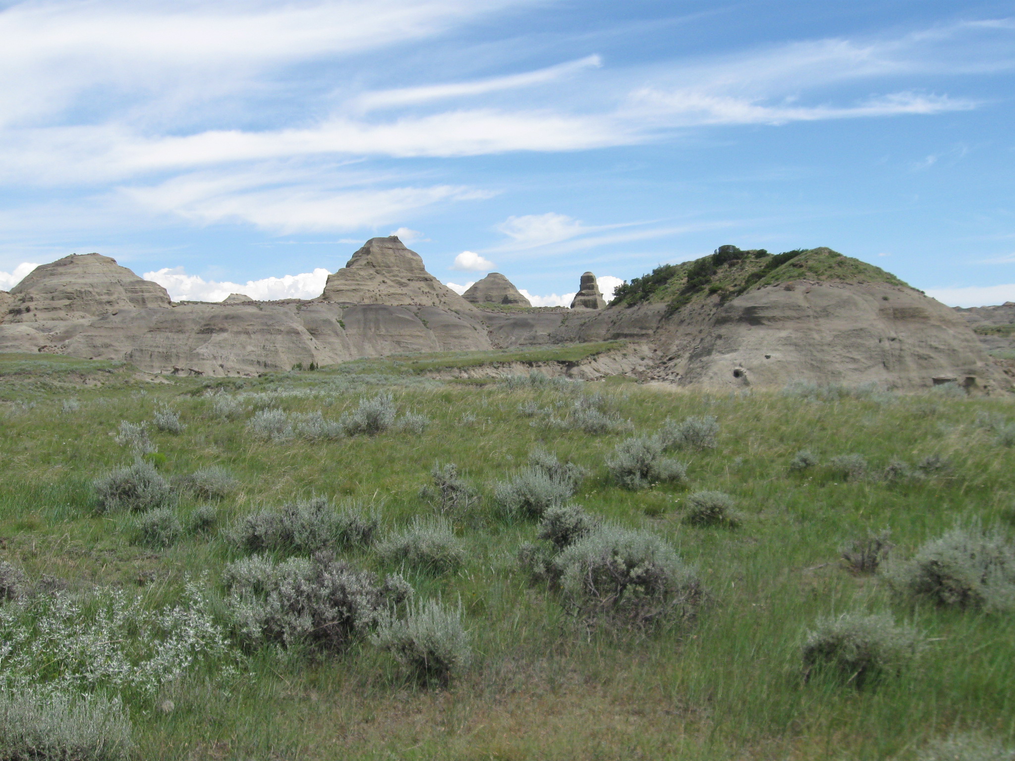 Eastern Montana is a loosely defined region of Montana. Some definitions are more or less inclusive than others, ranging from the most inclusive, which would include the entire part of the state east of the Continental Divide, to the least inclusive, which places the beginning of "eastern" Montana roughly at or even east of Billings, Montana. The areas of Montana lying just east of the Continental Divide are often called Central Montana. A widely accepted definition of Eastern Montana is that it encompasses the eastern third of the state.
Parts of Eastern Montana are affected by the economic boom in the Bakken formation, the largest oil discovery in U.S. history.