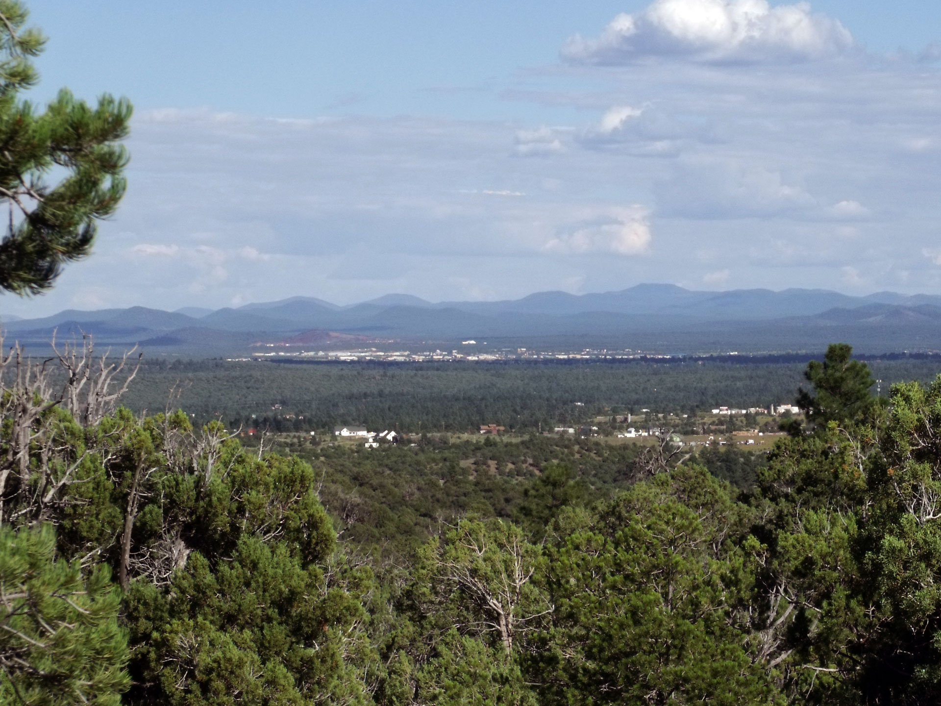 Show Low is a city in Navajo County, Arizona.  It lies on the Mogollon Rim in east central Arizona, at an elevation of 6,345 feet (1,934 m). The city was established in 1870 and incorporated in 1953. According to the 2010 census, the population of the city was 10,660.